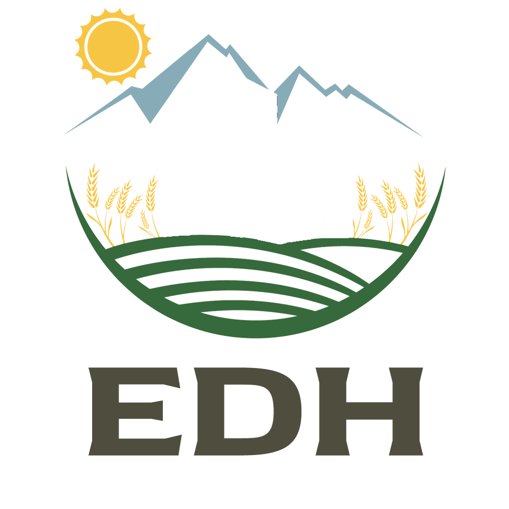 EDH Film Group